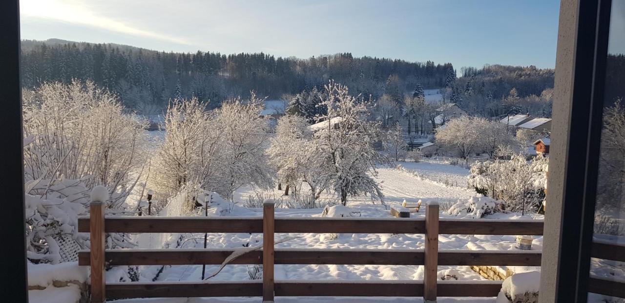Le Jura En Toutes Saisons Piscine, Spa, Location Vtt, Balades 2Cv, Climatisation Bonlieu Exterior foto