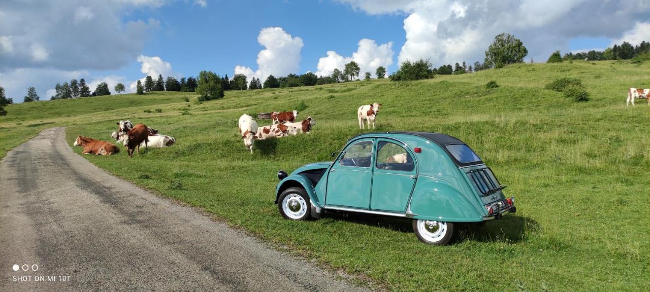 Le Jura En Toutes Saisons Piscine, Spa, Location Vtt, Balades 2Cv, Climatisation Bonlieu Exterior foto